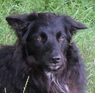 Bart&oacute;k