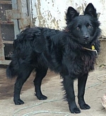 Bund&aacute;s