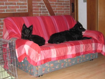 Flora und Julius
